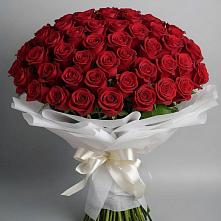 Букет 101 Красная роза Блэк Мэджик в Шараповой Охоте